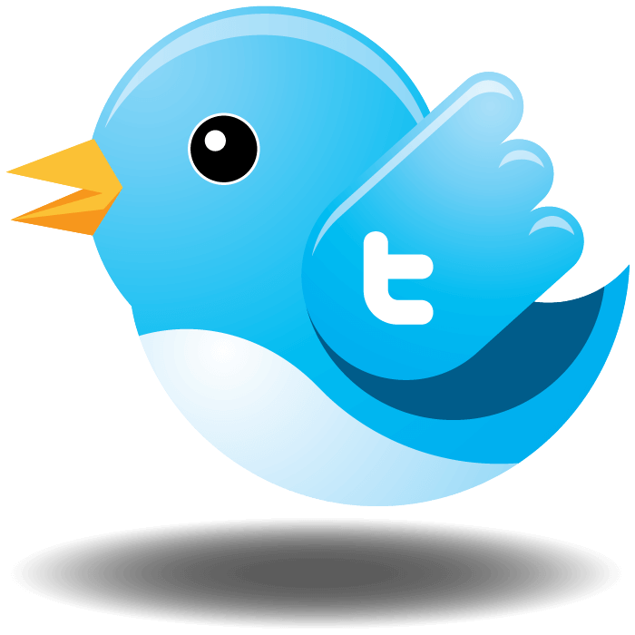 Picture of the Twitter bird with a 't' on its wing