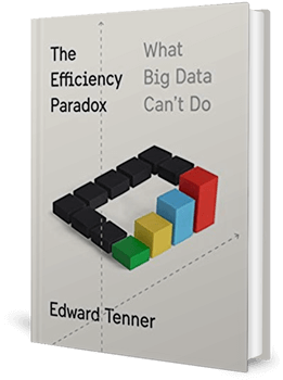 Cover of a book with muted colours with the title, The Efficiency Paradox: What Big Data Can't Do