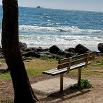 Photo of a beach. The sky is blue, and the ocean laps the shore and rocks. There is a bench seat and tree in the foreground.