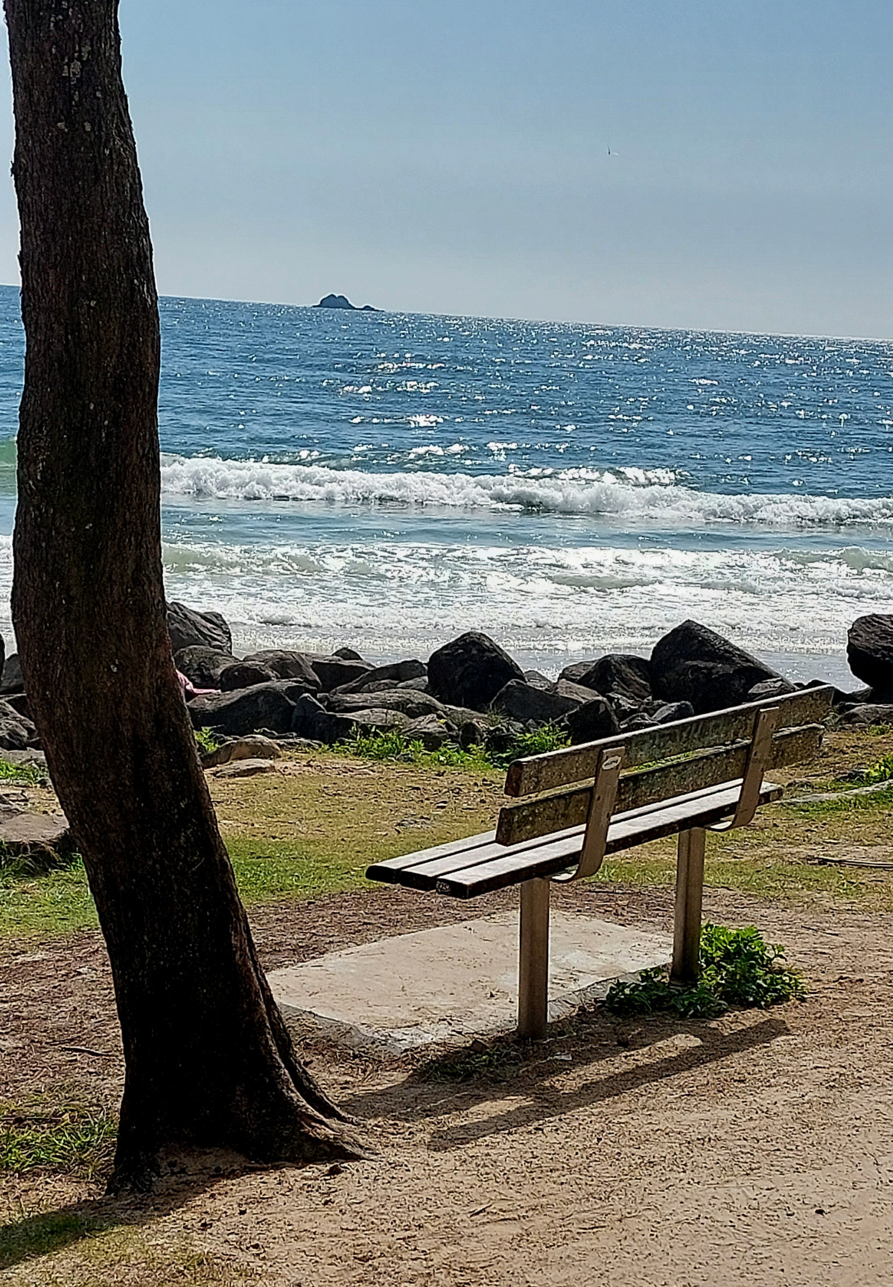 Photo of a beach. The sky is blue, and the ocean laps the shore and rocks. There is a bench seat and tree in the foreground.